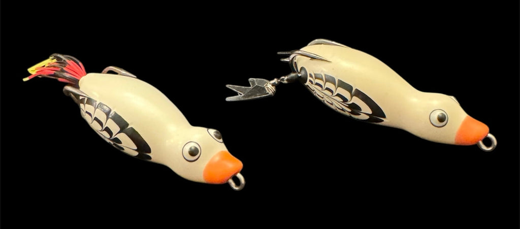 HOCB Ducks