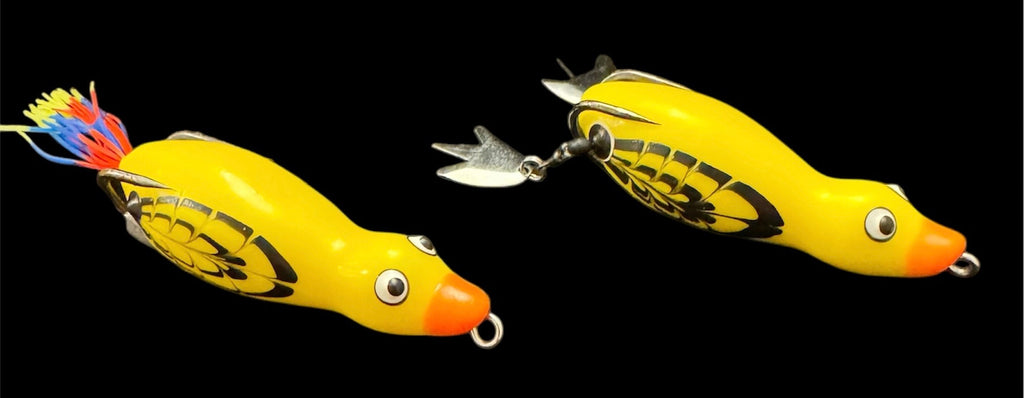HOCB Ducks